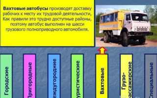 Какие бывают типы транспортного средства