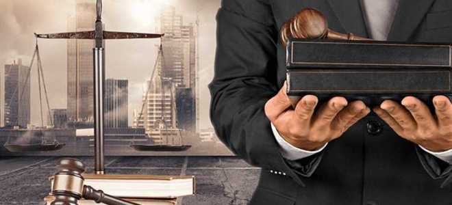 Сколько лет учиться на адвоката