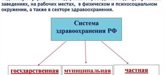 Какие системы здравоохранения существуют в рф
