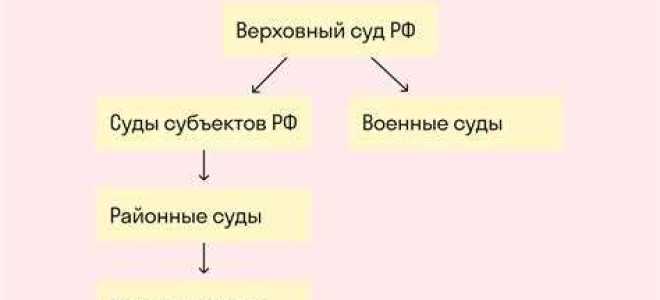 В какой форме суды надзорной инстанции выносят свое решение