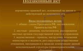 Что из перечисленного ниже можно отнести к подзаконным нормативным актам