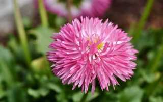 Какой сегодня мая 2023 года