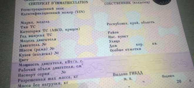 Кем выдан стс где написано