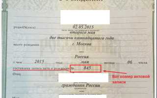 Сведения об актовой записи что это