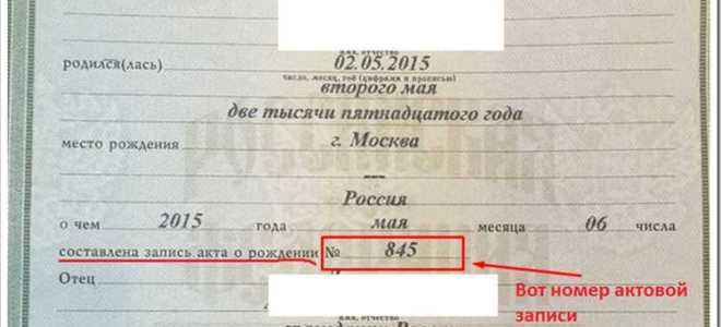 Сведения об актовой записи что это