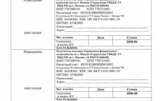 Сколько стоит госпошлина на автомобиль