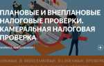 Какие документы может быть объектом налоговой проверки