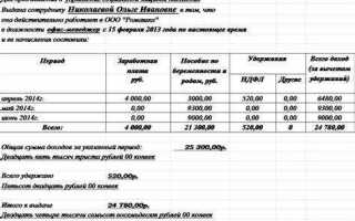 Справка о доходах что это