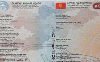 Техпаспорт на машину как выглядит