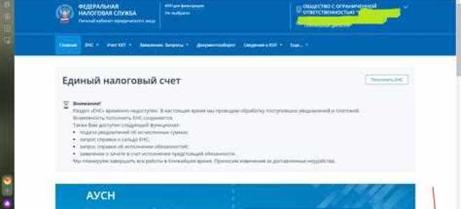 Как округлять в налоговой декларации по усн