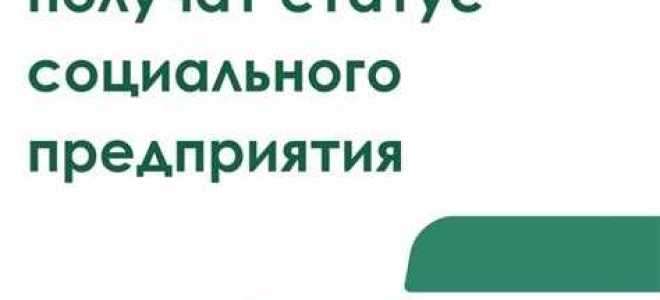 Как получить статус социального предприятия