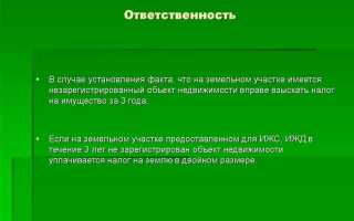 Как оформить землю по дачной амнистии