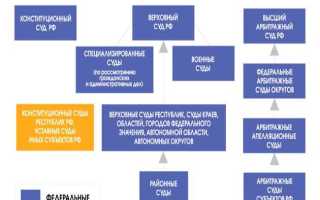 После районного суда какая следующая инстанция
