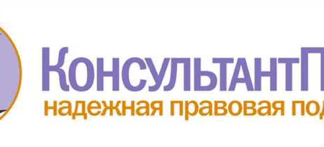 Когда был создан консультант плюс