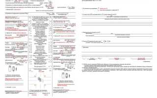 Дата предоставления документов страхователю какую дату ставить