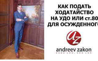 Сколько рассматривают заявление на удо