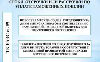 На какой срок вводится предварительная специальная пошлина