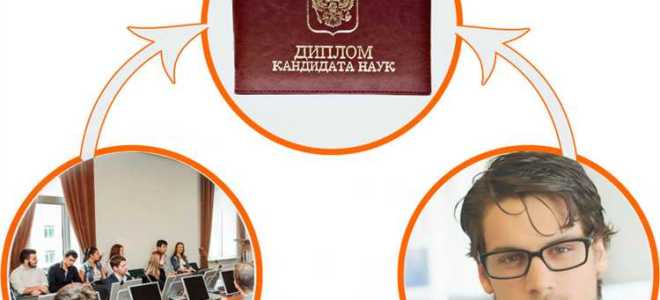 Отпуск у кандидатов наук сколько дней