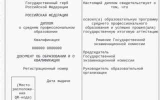 Спо что это в образовании