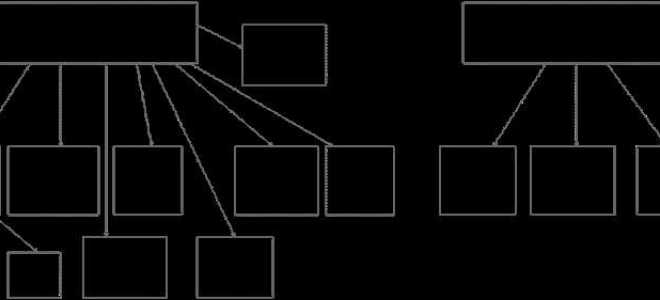 Местные органы управления контролируются только центральным правительством какое это государство