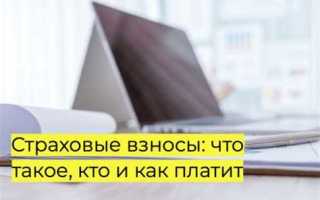 Кто является плательщиком страховых взносов