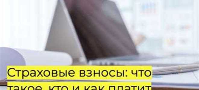 Кто является плательщиком страховых взносов
