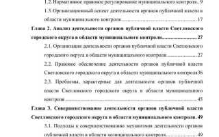 Контроль системы публичной власти кто осуществляет