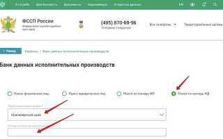 Где посмотреть информацию по исполнительному производству