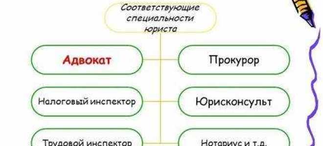 Что делает юрист на работе