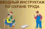Кто может проводить вводный инструктаж по охране труда в организации