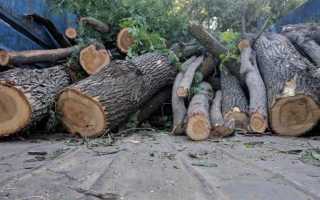 Как называется незаконная вырубка деревьев и кустарников