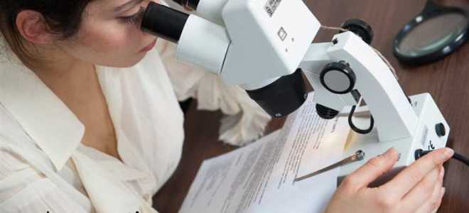 Как состарить документ для экспертизы давности