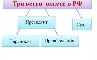 Какая ветвь власти не упоминается в конституции рф