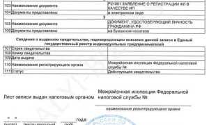 Лист записи егрип где взять