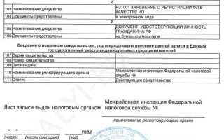 Лист записи егрип где взять