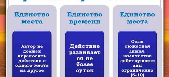 Что означает принцип единства кассы