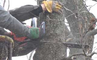 Куда обращаться по поводу спила аварийных деревьев