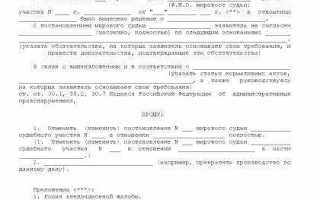 Как подать апелляцию на решение мирового судьи по административному делу