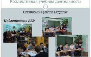 Что должен делать педагог организатор