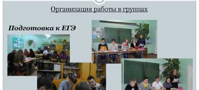 Что должен делать педагог организатор