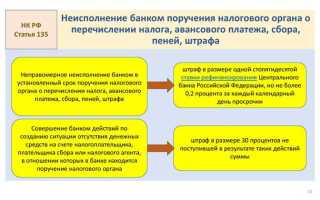 Чем штраф отличается от пени