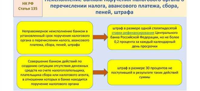 Чем штраф отличается от пени