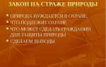 Какие объекты природы находятся под защитой закона