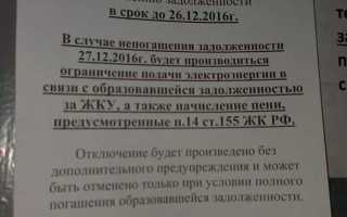 Отключили свет за неуплату что делать как подключить
