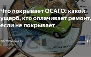 Кто является потерпевшим по осаго