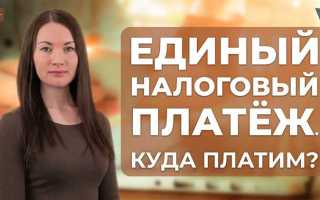 Что делать если на уплату налогов нет денег