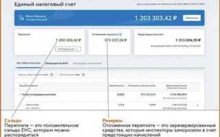 Что означает отсутствие положительного сальдо на едином налоговом счете