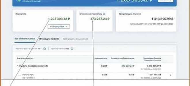 Что означает отсутствие положительного сальдо на едином налоговом счете