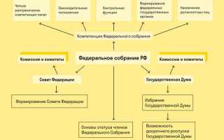 Федеральное собрание к какой ветви власти