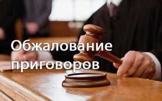 Апелляция по уголовному делу как проходит